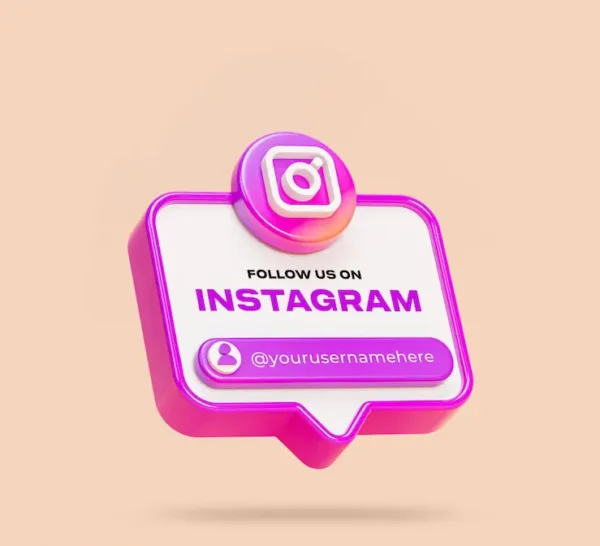 Organic Instagram Followers